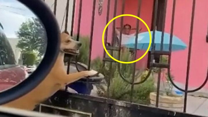 Captan a hombre asesinando a perrita en Cumbres, Monterrey
