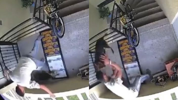 VIDEO: Hombre agrede y avienta a perrita desde un tercer piso en Puebla