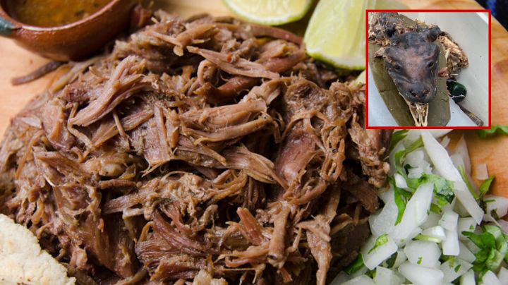 Descubren craneo de perro en puesto de barbacoa; autoridades lo clausuran