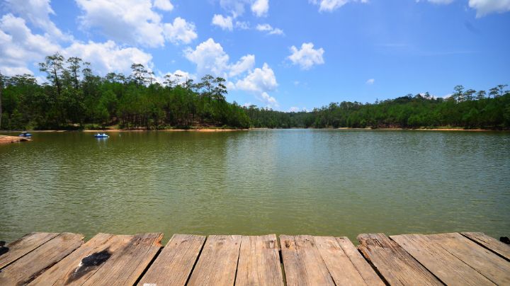 Muere hombre tras contraer la ameba come cerebros en un lago de Texas