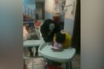 VIDEO: Con máscara, asustan a bebés en una guardería en Jalisco