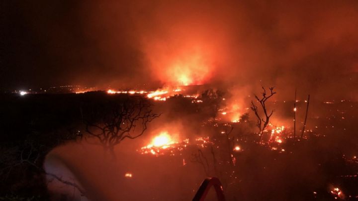Incendios en Hawái obligan a ciudadanos a saltar al mar