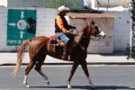 Se desvanece caballo durante cabalgata de Monterrey