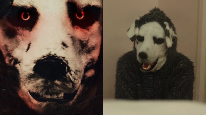 Good Boy: La inquietante película de terror que causa revuelo en redes