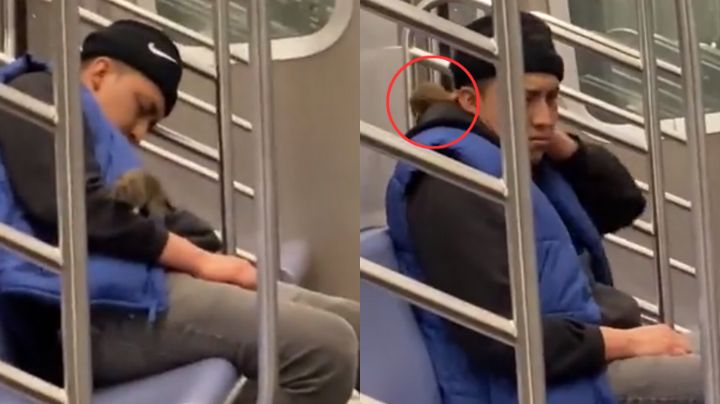 ¡Dejen dormir! Rata despierta a joven dormido en metro de Nueva York