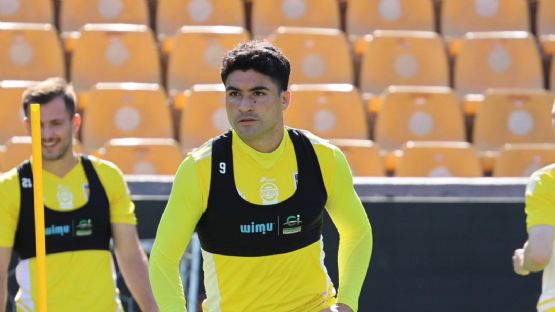 Nicolás Ibáñez no viajó a Canadá con Tigres por malestar estomacal