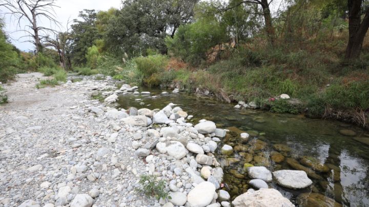 Sequía en NL: Baja el nivel de agua en el río La Silla
