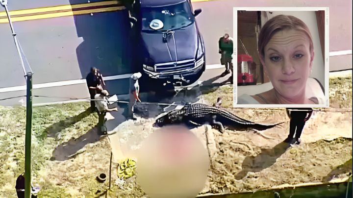 Sacrifican a caimán en Florida tras encontrarle restos humanos en su hocico