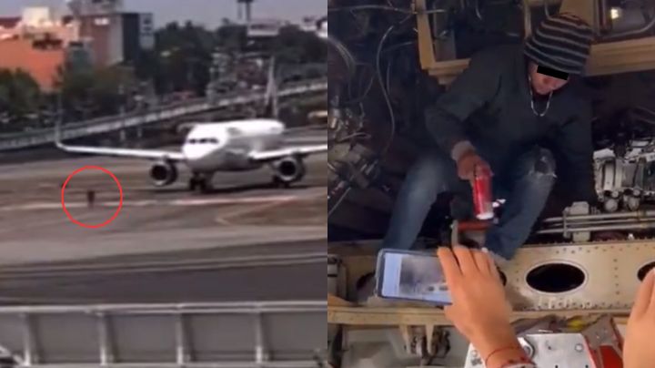 Pudo ser trágico: Menor se introduce a maletero de avión en el AICM