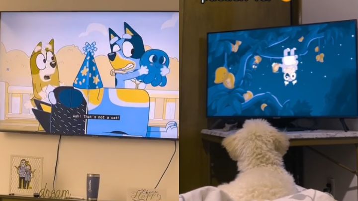 Bluey, la caricatura favorita de niños y de perritos, según este trend de TikTok