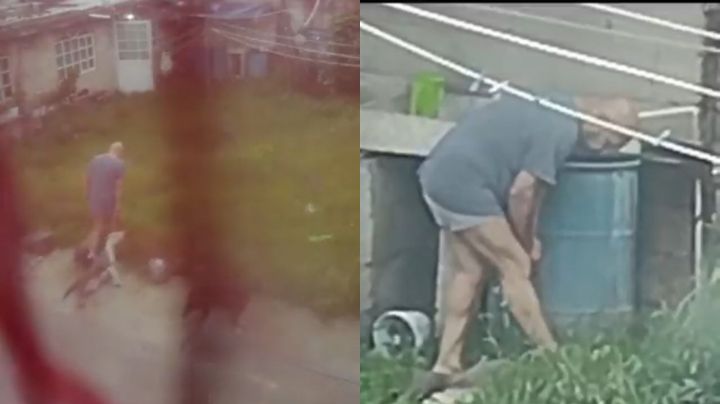 Captan a hombre ahorcando a perrita pitbull en Toluca; piden justicia por su muerte