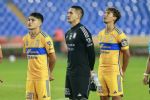 ¿Cuáles son los nuevos canteranos que podrían debutar en Tigres?