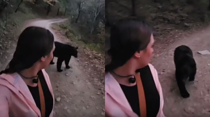 Video: Oso persigue a senderista en camino desolado de Parque Chipinque