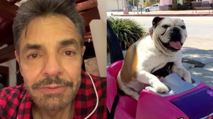 Video:  Aislinn Derbez conmueve a su padre con emotivo regalo de Navidad
