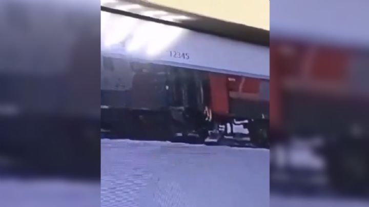 Hallan muerto a gatito desaparecido en tren de Rusia; trabajador lo sacó a la nieve