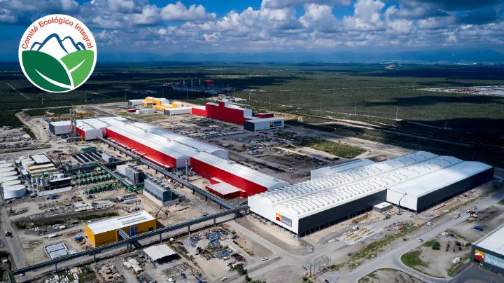 Comité Ecológico lamenta que Federación desatienda caso Ternium