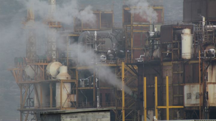 Diputado pide a Álcali comprobar en qué invirtió los 80 mdp entregados