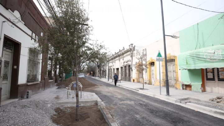 Comienzan a plantar árboles en corredor verde de Modesto Arreola, en Monterrey