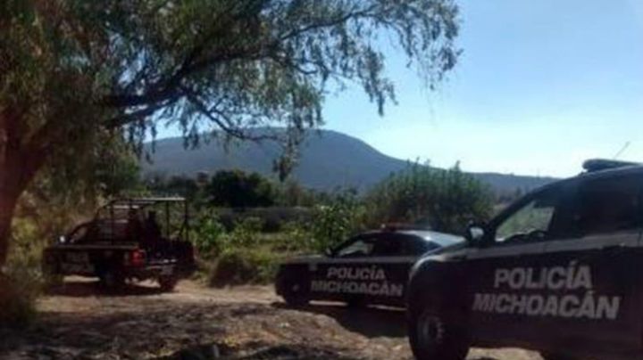 Perro encuentra 2 cadáveres en Michoacán; llega a casa con una mano entre sus dientes