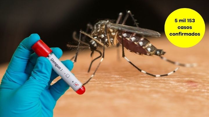 Casos de dengue en NL llegan al peor nivel en 20 años