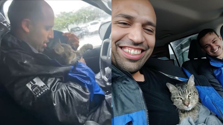 Video: Reportero rescata a una gatita durante el huracán Milton en Florida