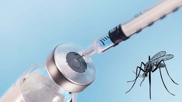 Salud advierte que vacunas contra el dengue serían riesgosas para la población
