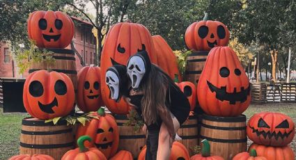 Parque de las Calabazas en Monterrey: Fechas, precios y horarios