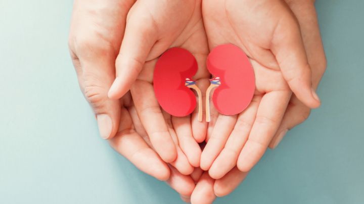 Día Mundial de la Donación de Órganos: ¿Qué hacer si quiero donar mis órganos?