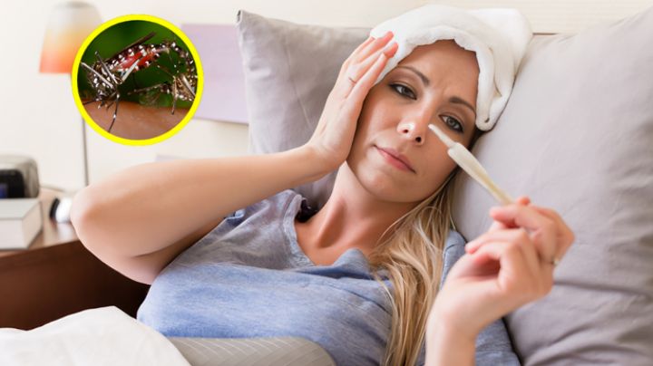 ¿Cuánto dura el dengue en el cuerpo y cómo se puede detectar?