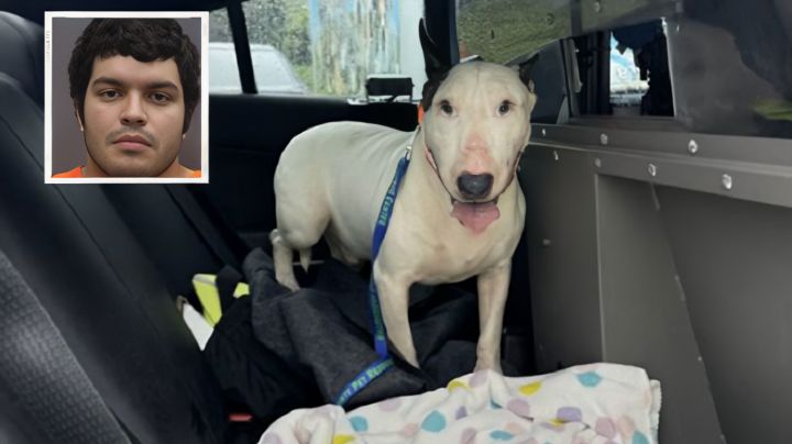 Detienen a hombre que amarró y abandonó a perrito en medio de huracán Milton