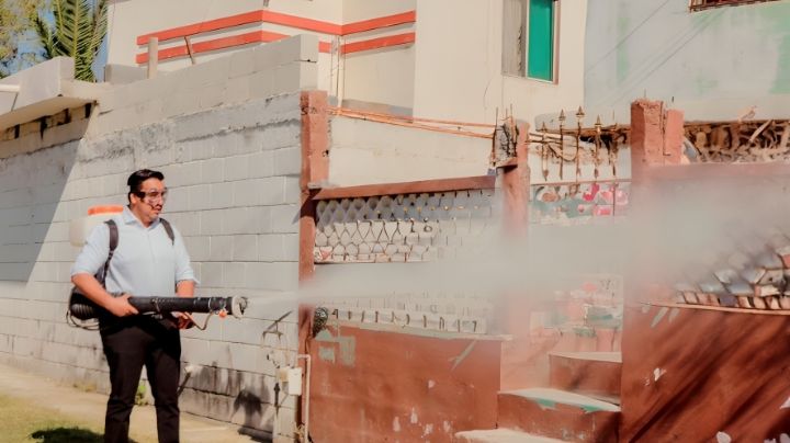 Jesús Nava realizó brigada de fumigación a domicilio en Santa Catarina