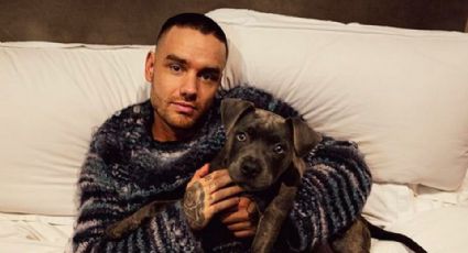 ¿De qué murió Liam Payne? Revelan resultados de su autopsia