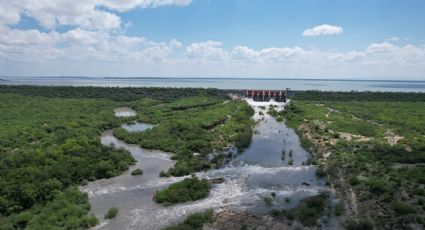 Presas de Nuevo León: Conagua reporta exceso de agua