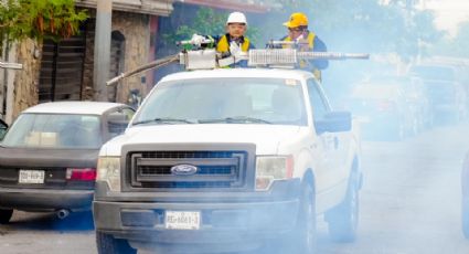 Santa Catarina activa plan emergente contra el dengue