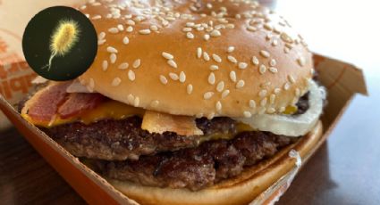 Retiran cebollas de McDonald’s por provocar brote de E. coli en EU