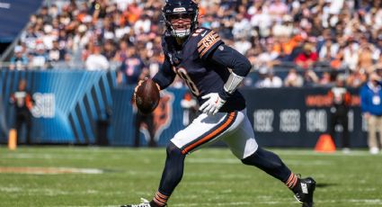 Los Bears se dan un festín con los Panthers