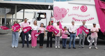 Campaña Rosa pinta las calles de San Pedro