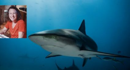 Captura a tiburón enfermo; halla en su estómago los restos de una turista desaparecida