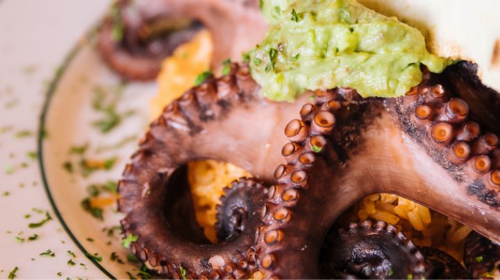 5 recetas sencillas con pulpo que sorprenderán a tu familia | Ingredientes y precios