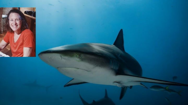 Captura a tiburón enfermo; halla en su estómago los restos de una turista desaparecida