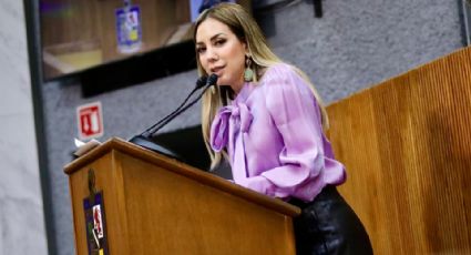 Diputada Perla Villarreal urge a divulgar Alertas Amber en celulares