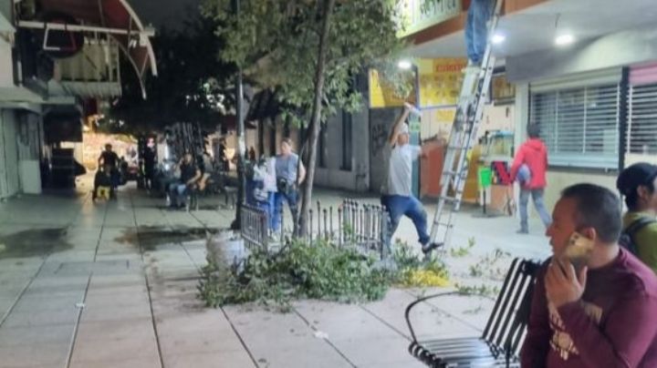 Panadería El Nopal poda árboles y responde a críticas