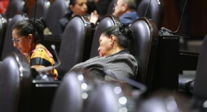 No dormimos ayer: Diputada de Morena se queda dormida en plena sesión