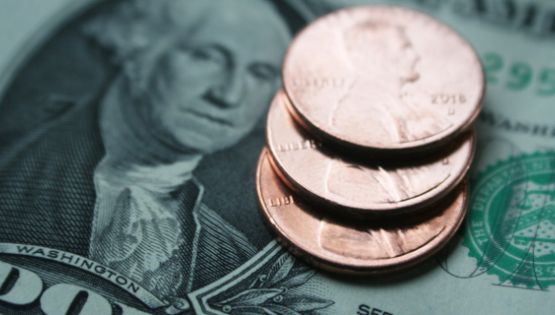 El dólar se fortalece: ¿Cómo esta el tipo de cambio hoy 14 de noviembre?