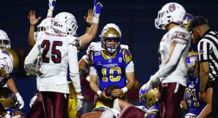 ONEFA: Contundente victoria de Auténticos Tigres ante Burros Blancos en Cuartos de Final