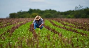 Advierten de fraudes con documentos falsos hacia los agricultores