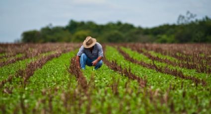 Advierten de fraudes con documentos falsos hacia los agricultores