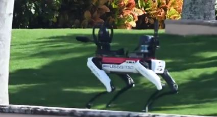 Perros robots son la seguridad de la residencia de Donald Trump