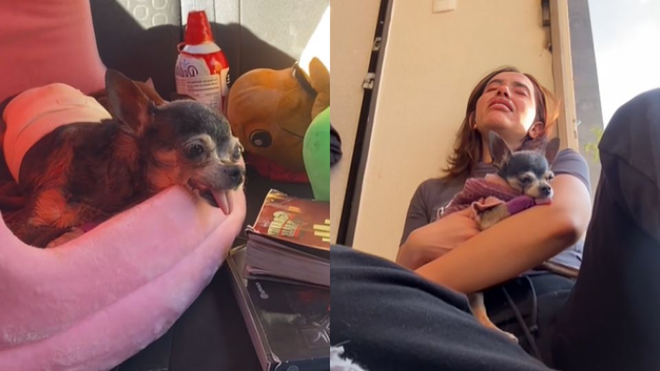 El último día de Romina.