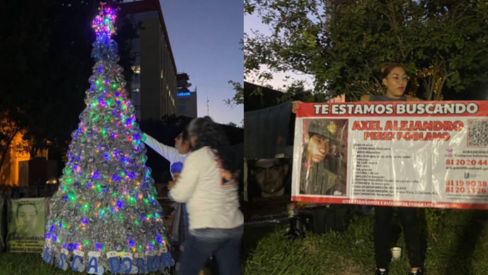 Encendido del pino de Navidad en La Plaza de los Desaparecidos.